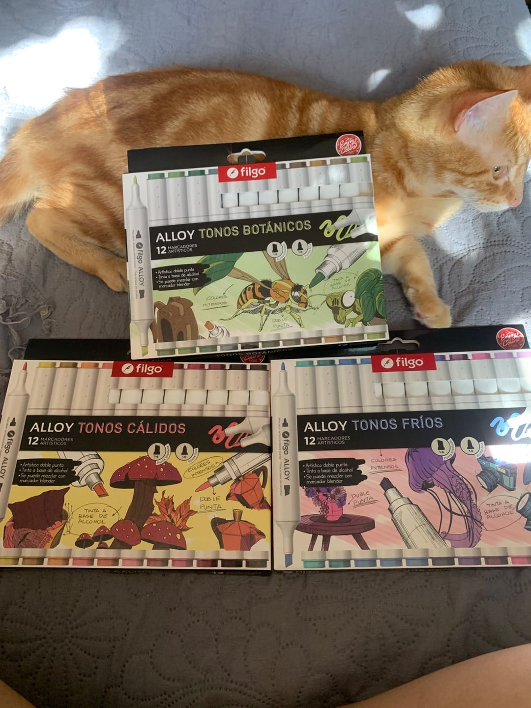 Customer photo review of Filgo Alloy - Set 12 Marcadores al Alcohol Tonos Clásicos