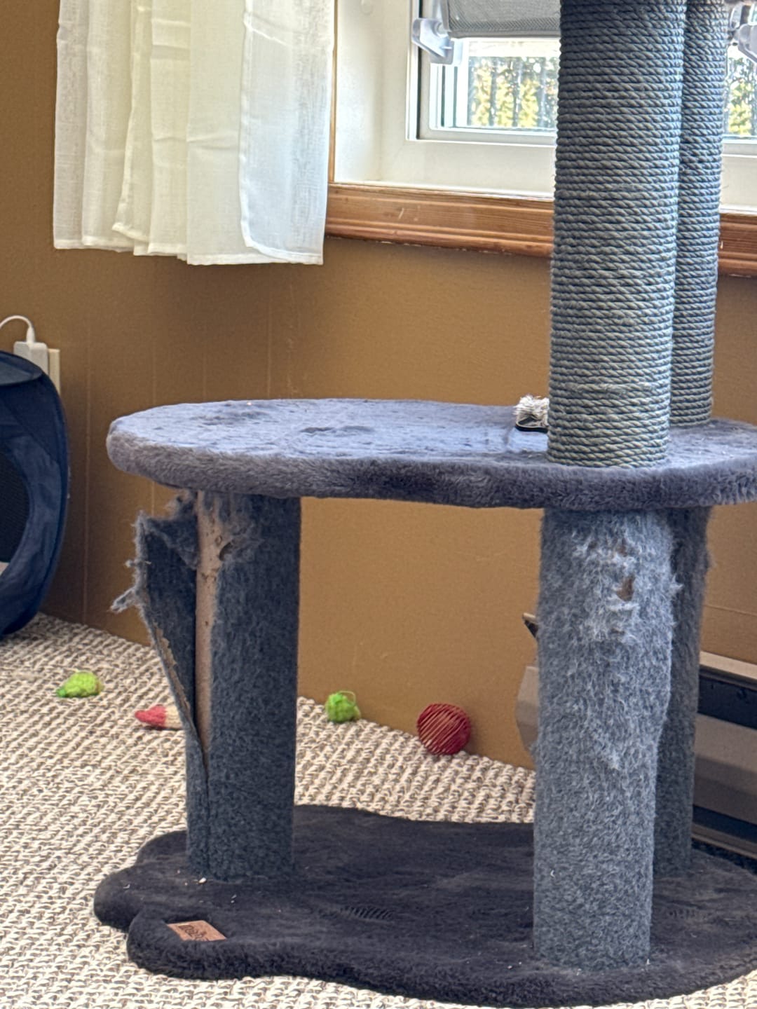 Customer photo review of Relaxation Cat Tree - Grey Faux Fur