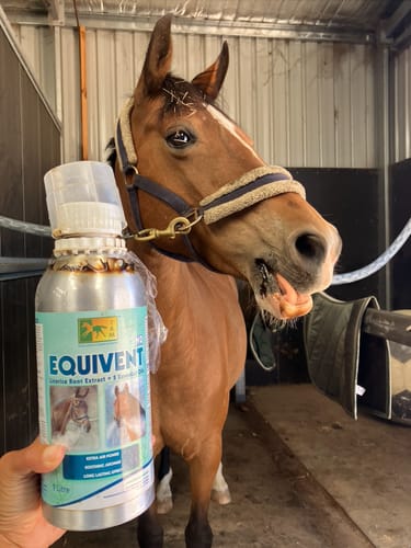 Customer photo review of Equivent ND 1L