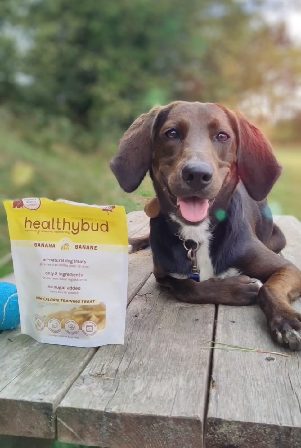 Customer photo review of Banana Chips