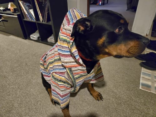 Customer photo review of Playa Poncho - Surprise Color