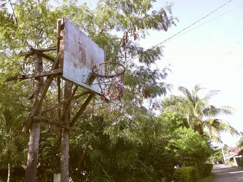 Customer photo review of NUVINT - Digitalkamera