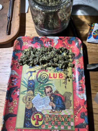 Customer photo review of Gorilla Glue