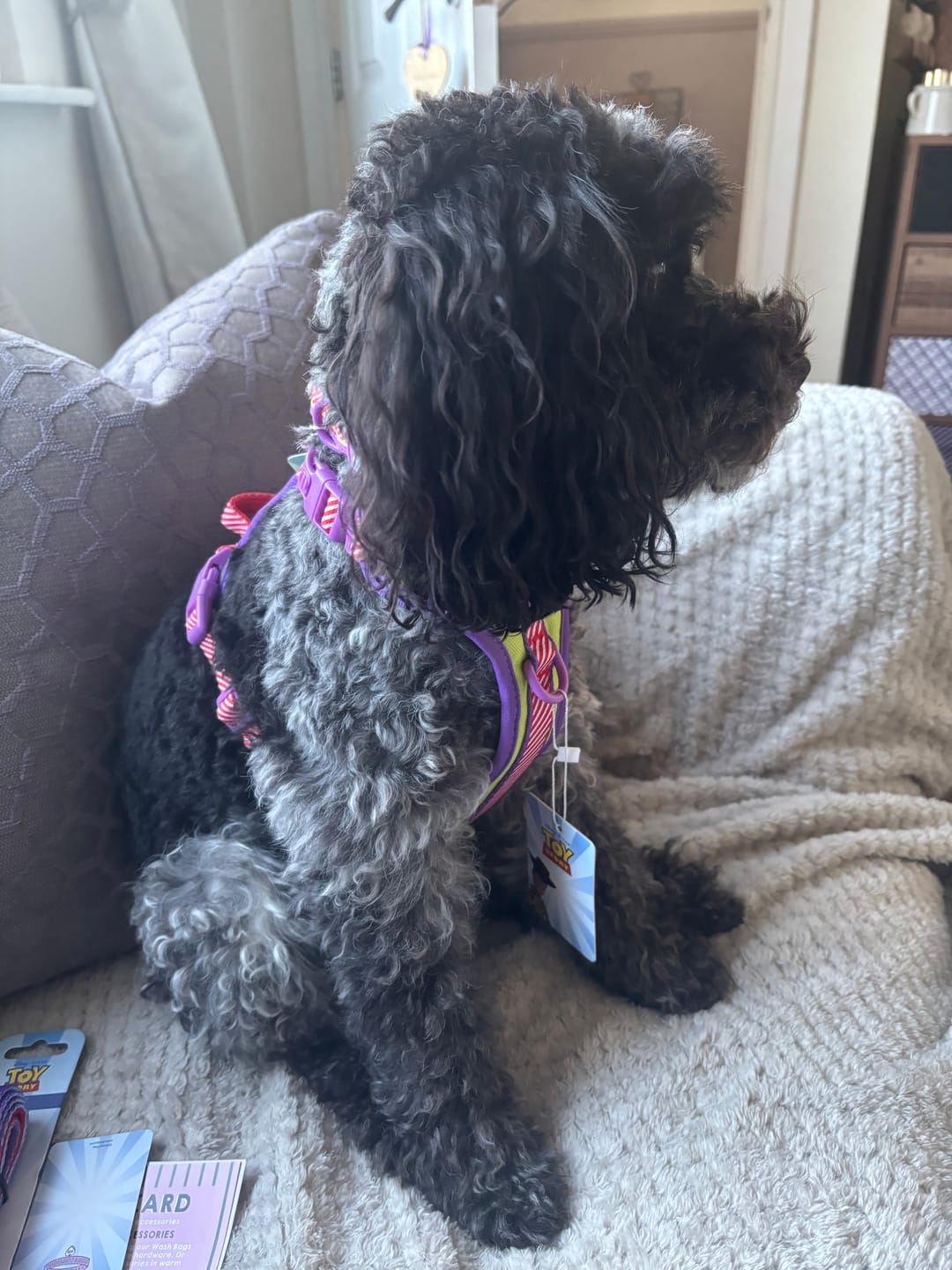 Customer photo review of Disney© Tough Trails™ Harness - Buzz Lightyear