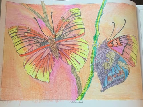 undefined review of 72 Page Amazing Butterflies Coloring Book image 1 out of 1