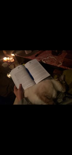 Customer photo review of Project 369 - The Key to the Universe : Awakened Consciousness