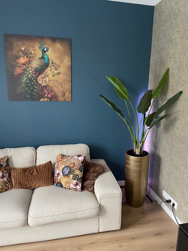 Customer photo review of Strelitzia Kunstplant 120cm
