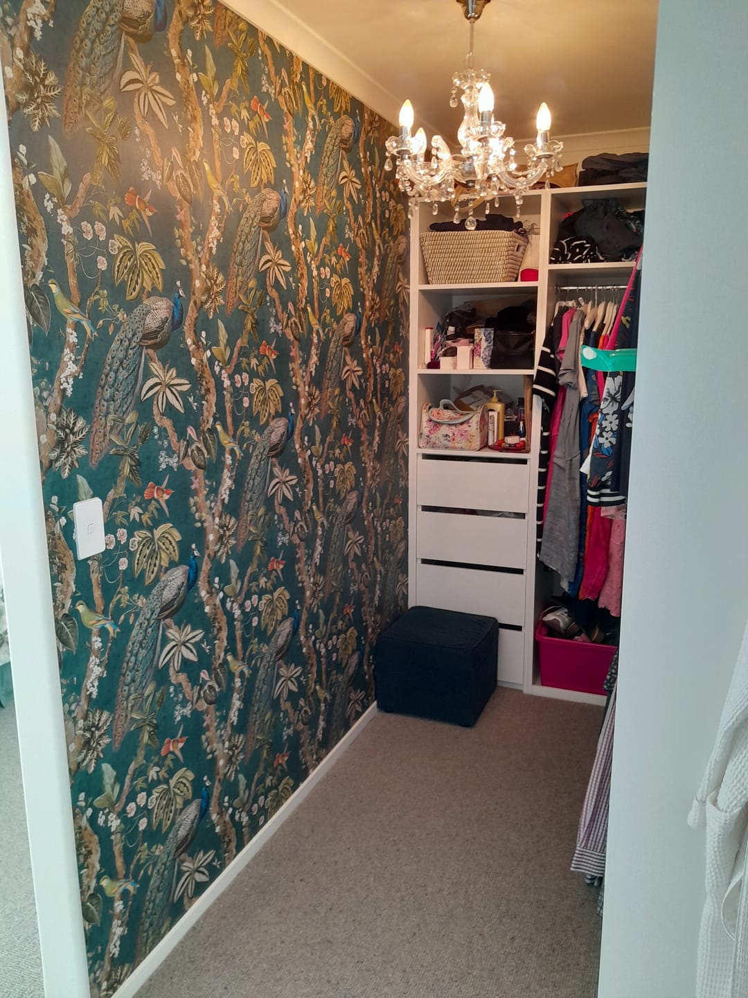 Customer photo review of Cassia - Exotic Peacock Wallpaper - Aqua