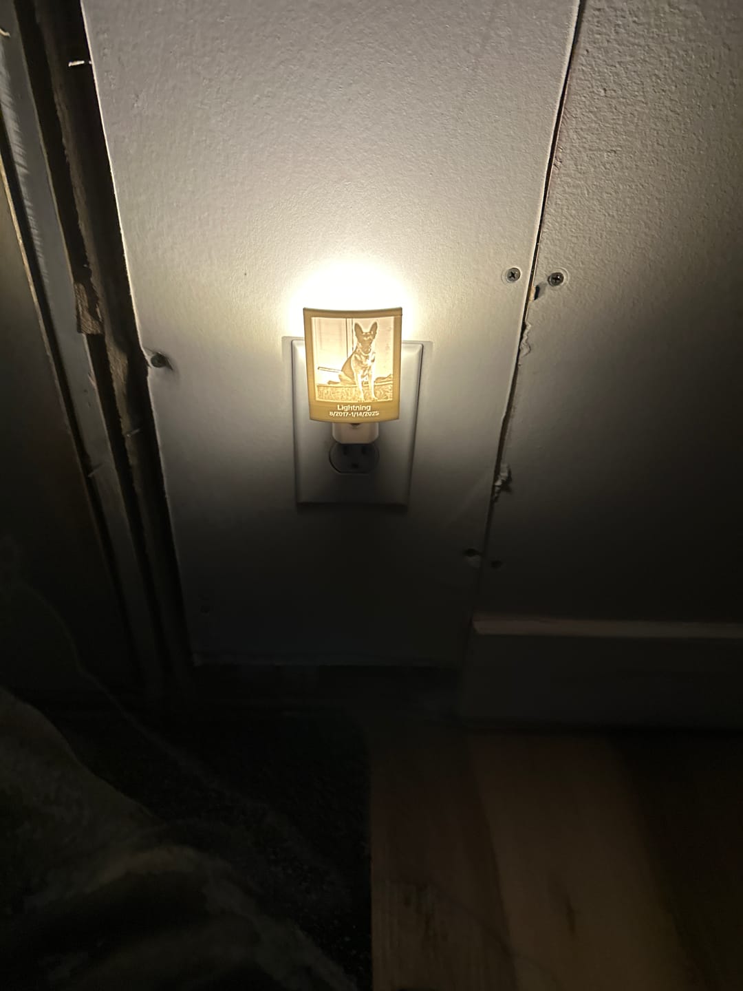Customer photo review of Memory Frame™ Personalized Night Light