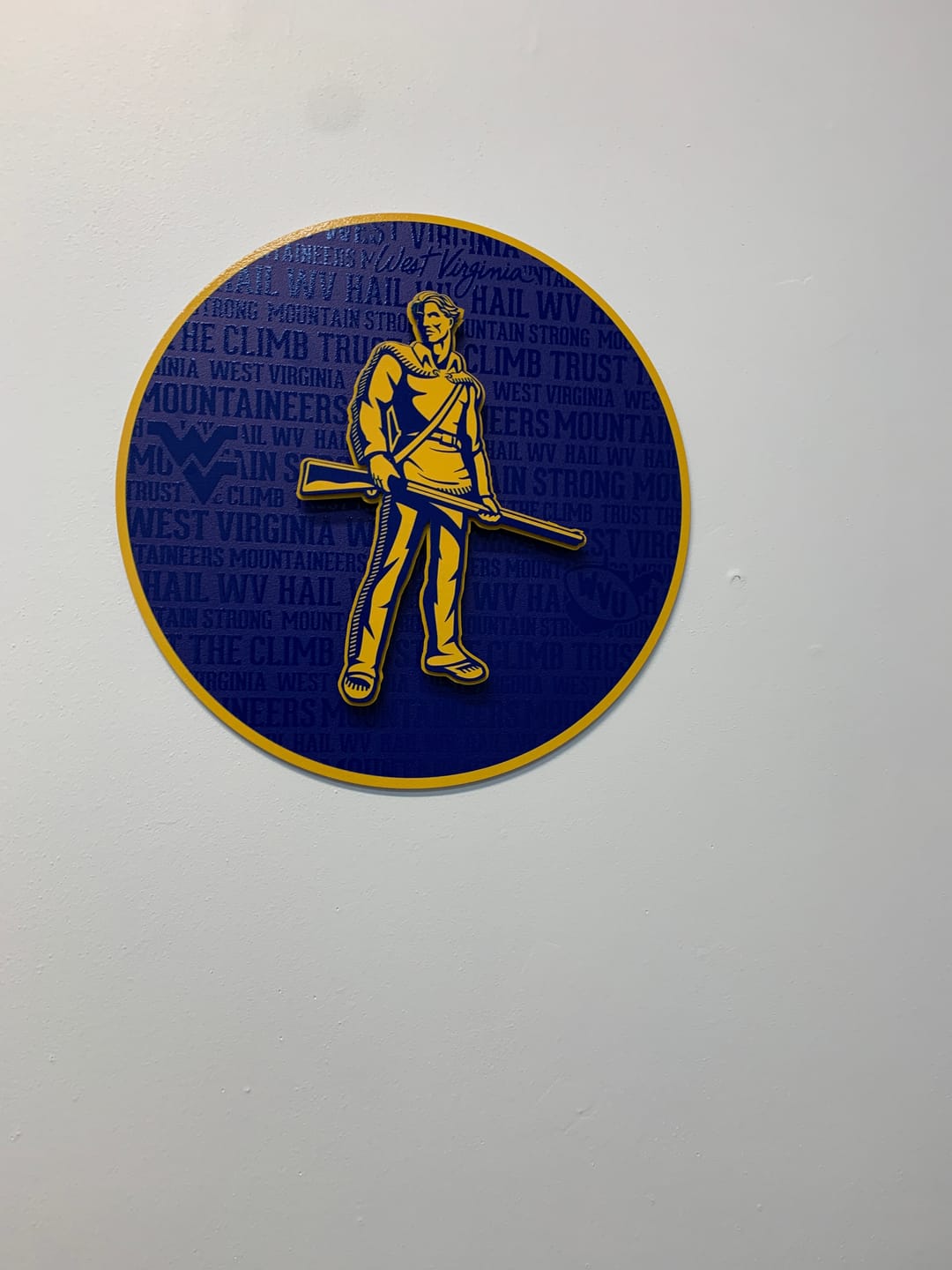 Customer photo review of West Virginia Mountaineers CRAFT SERIES 3D Embossed Metal Wall Art
