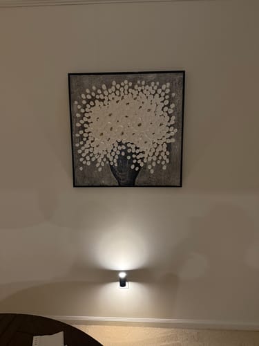 Customer review photo for Colorful Painting #CA015