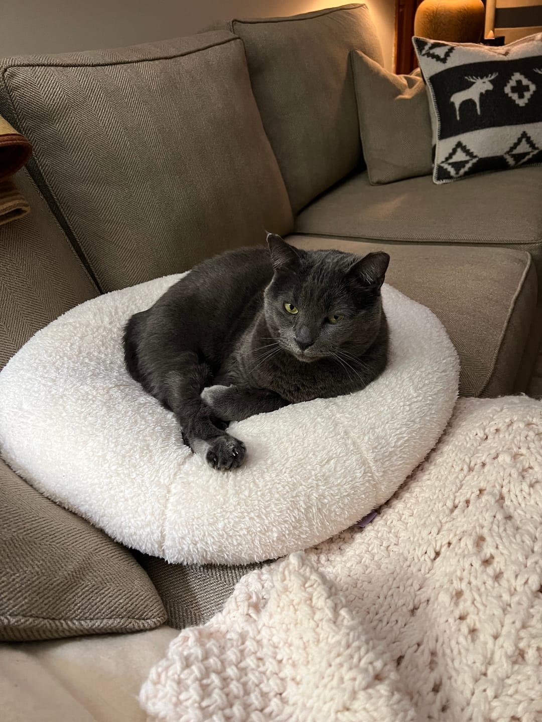 Customer photo review of Marshmallow Pudding Bed