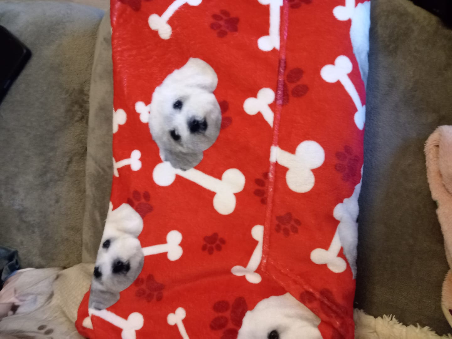 Customer photo review of Custom Dog Hoodie