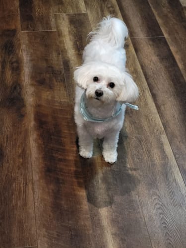 Customer photo review of Daily Multi