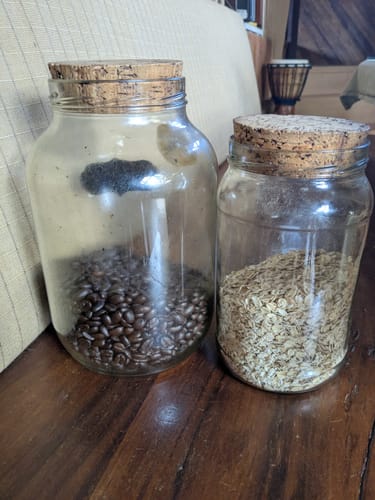 Customer photo review of Size 52 Natural Jar Corks