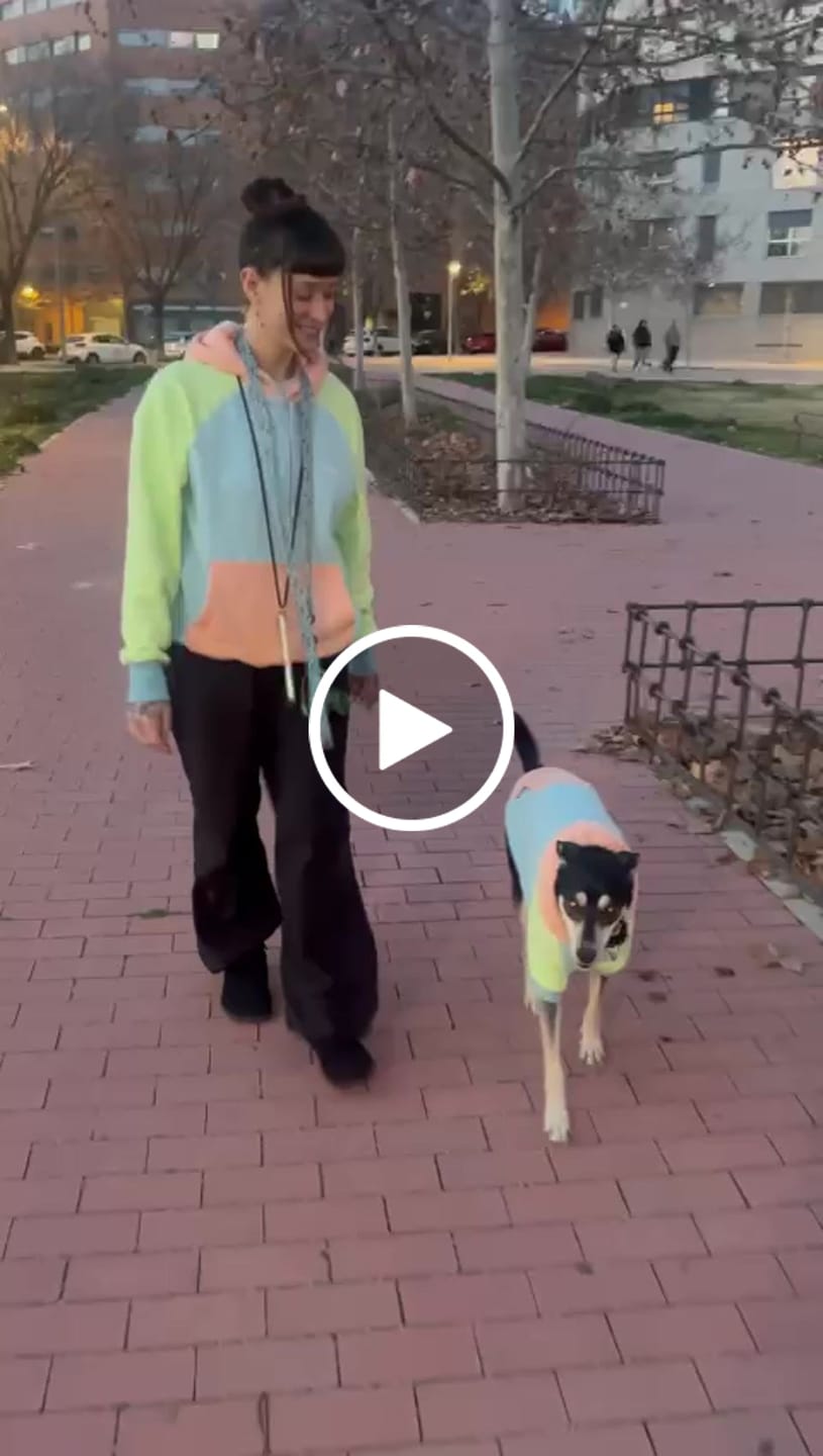 Customer video review of Jelly Bean Dog Hoodie