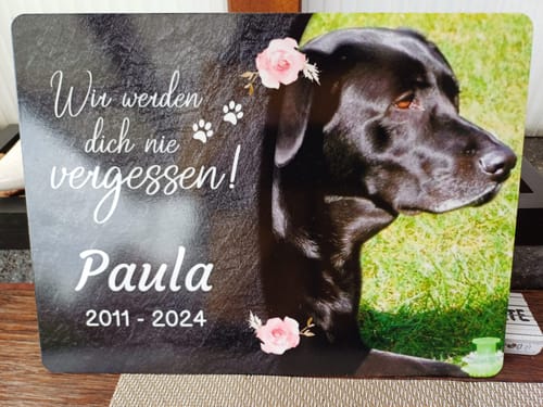 Customer photo review of Hunde Gedenktafel mit Foto & Spruch (UV- &  Wetterfest)