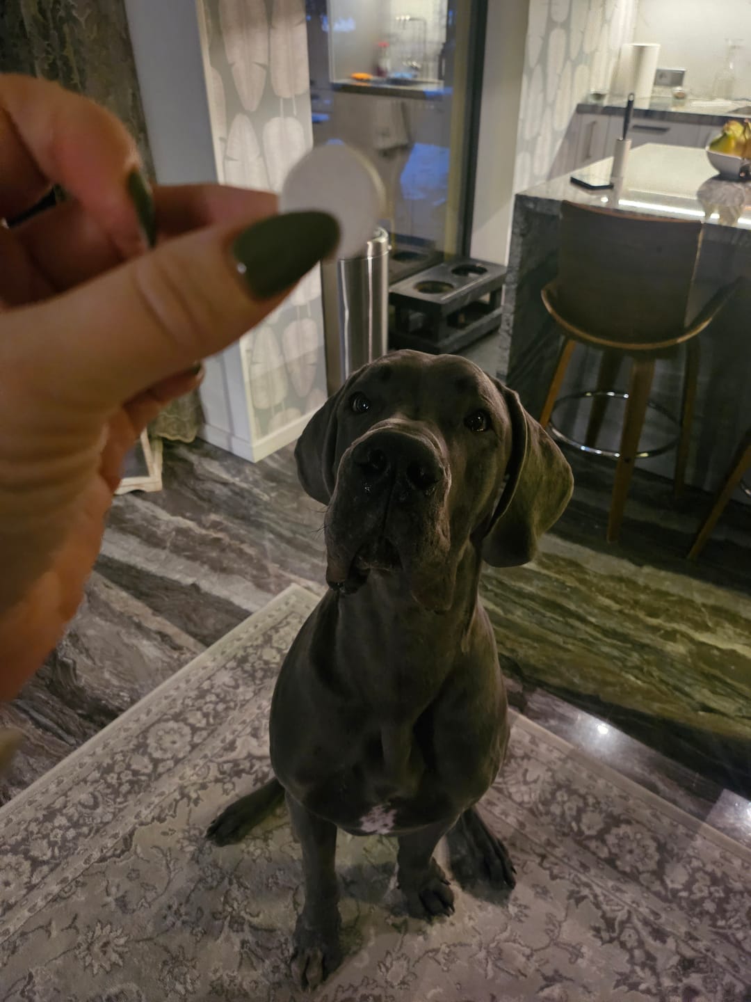 Customer photo review of For Large Joints & Bones | Dog Supplement for Large Dogs