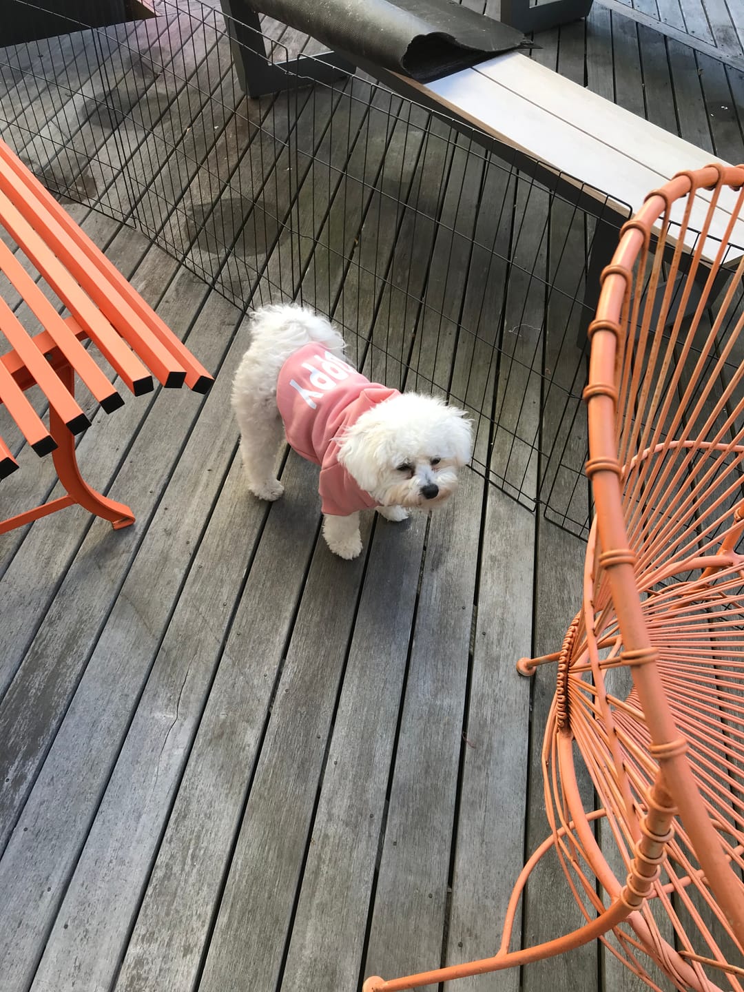Customer photo review of Hoodie - Henry Rose Pink