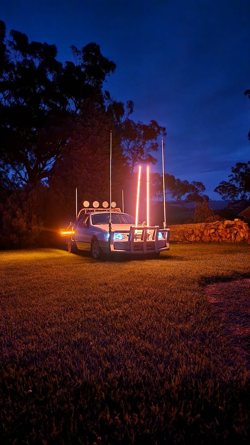 Customer photo review of 6ft LED Whip Lights