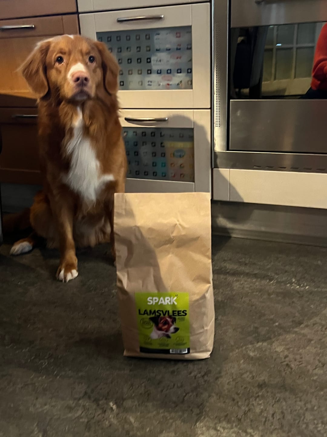 Customer photo review of Volwassen - Klein - Lamsvlees met Zoete Aardappel & Munt
