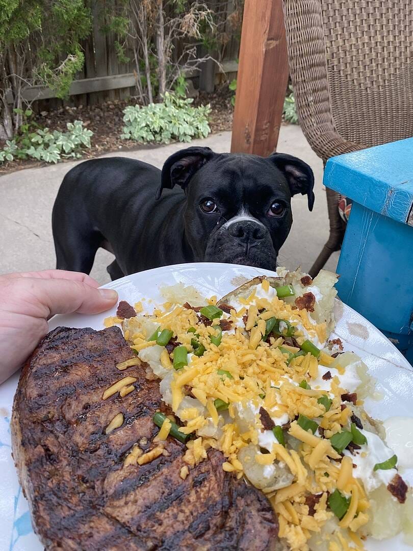 Customer photo review of Choice Boneless Ribeye