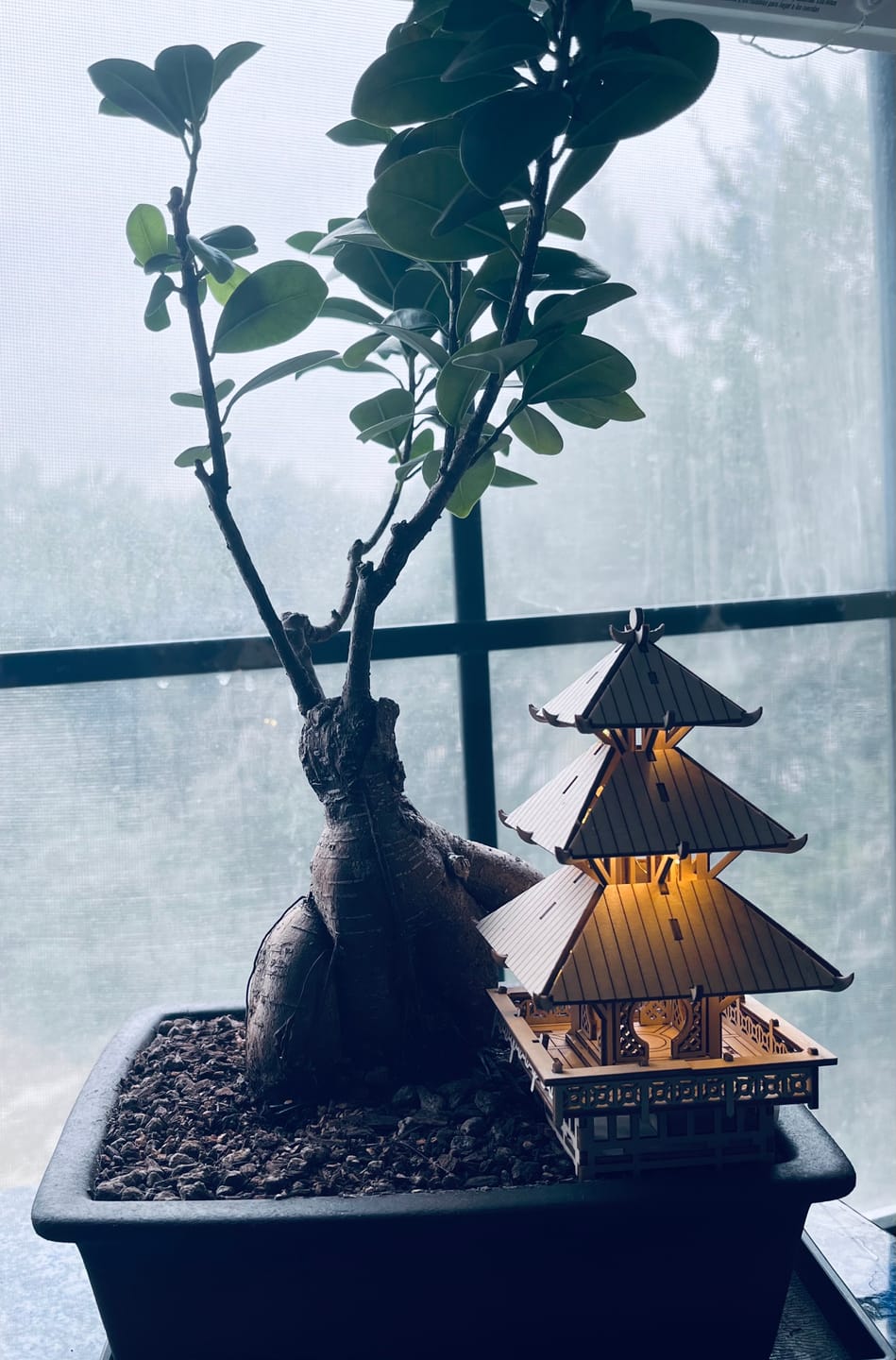 Customer photo review of Temple of Serenity