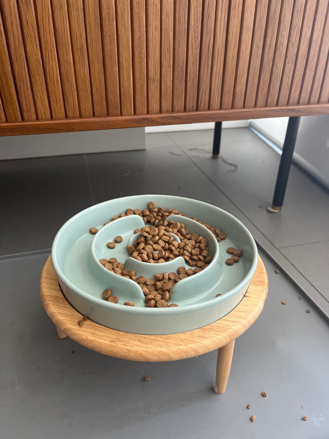 Customer photo review of Ceramic Slow Feeder Pet Bowl for Dogs and Cats