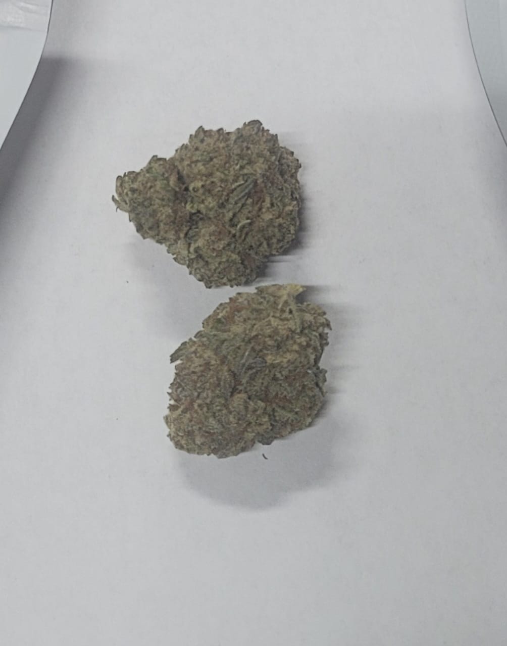 Customer photo review of Space Junkie