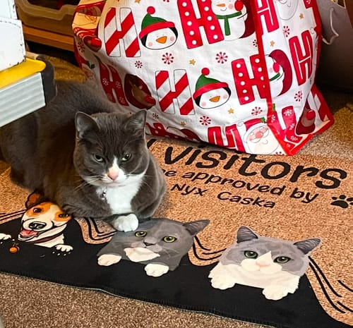 Customer photo review of Welcome to - Personalised Doormat