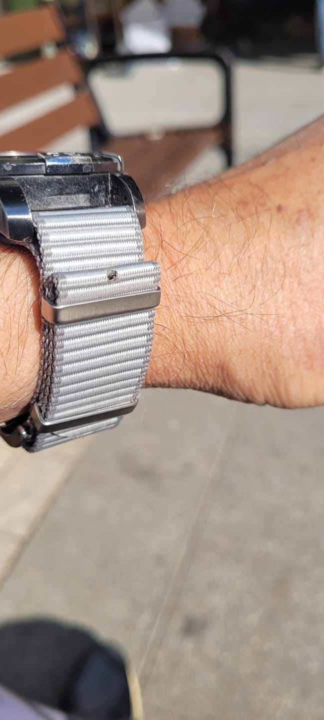 Customer photo review of TigerShark - Silver & Gray
