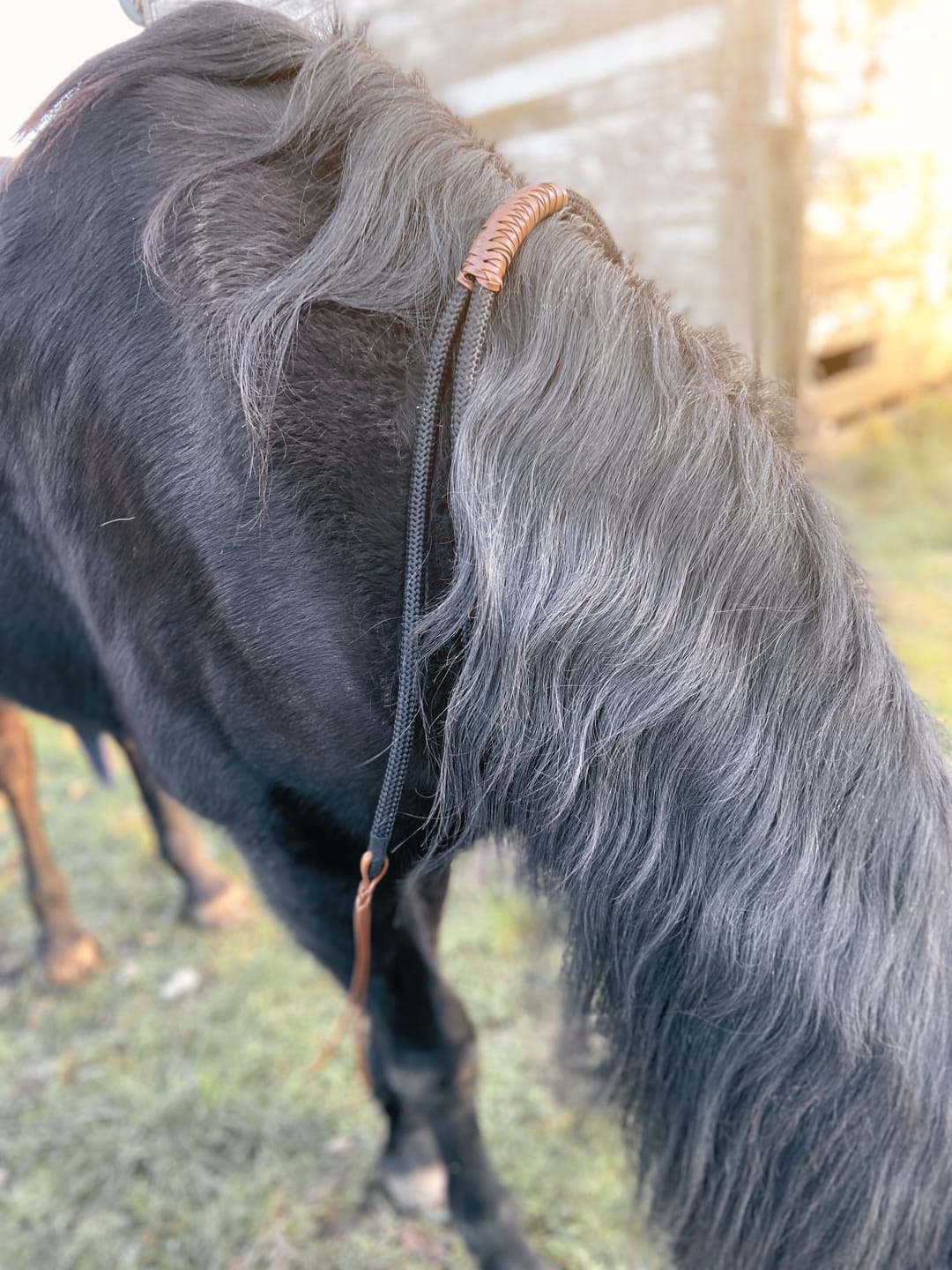Customer photo review of Onyx neckrope