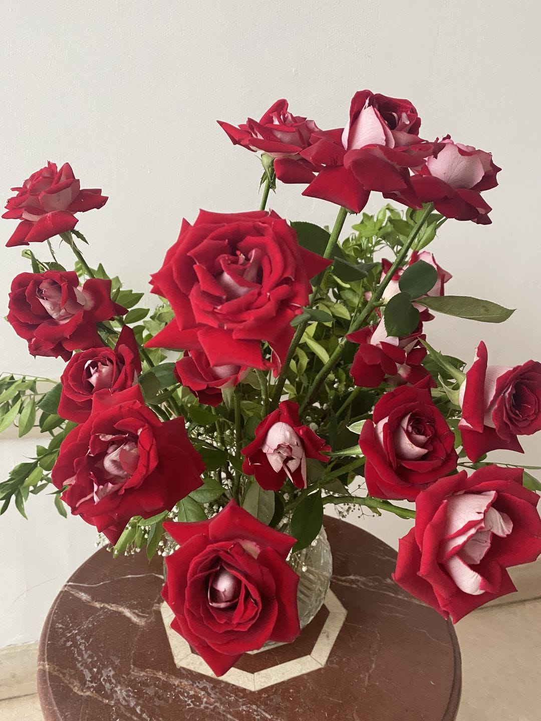 Customer photo review of Spring Rose //Delhi