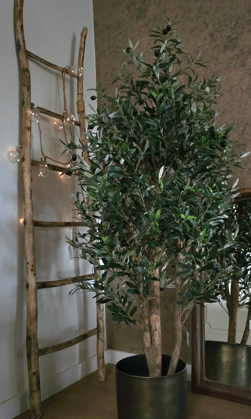 Customer photo review of Kunst Olijfboom 165cm Deluxe