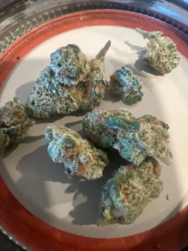 Customer photo review of Lemon Thunder Fuck Smalls