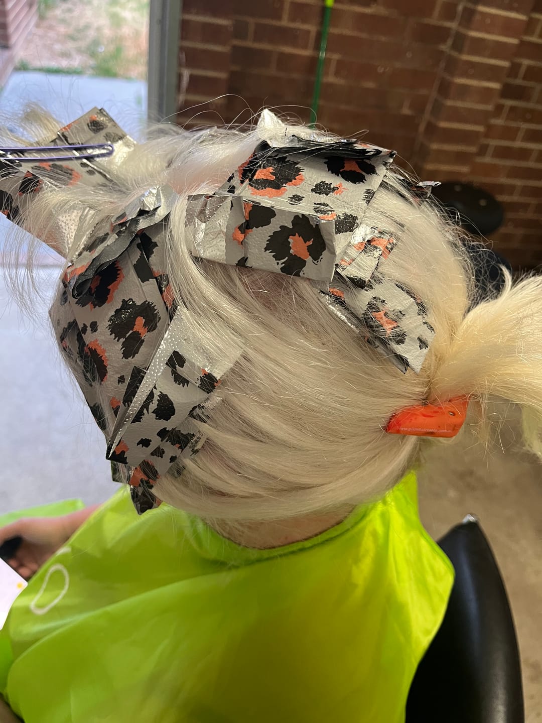 Customer photo review of Snow Leopard - Pop Up