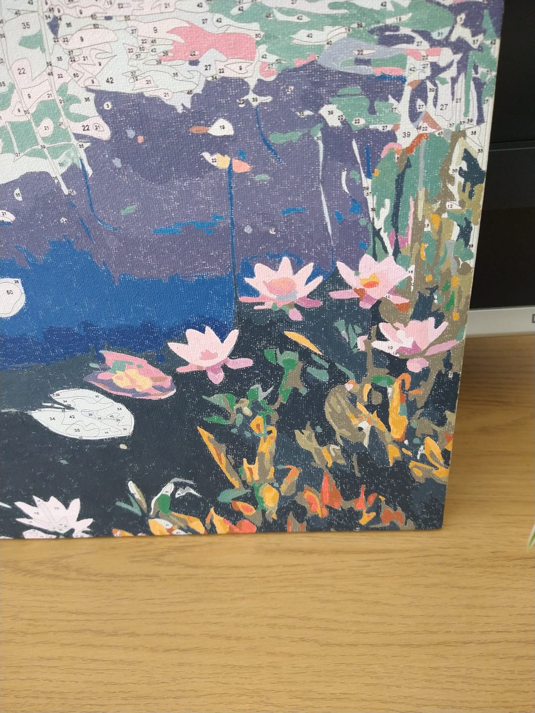 Customer photo review of Lily Sunset