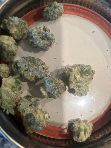 Customer photo review of Strawberry Zlushie Smalls