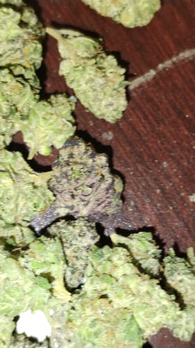 Customer photo review of Gorilla Glue Greenhouse THCA