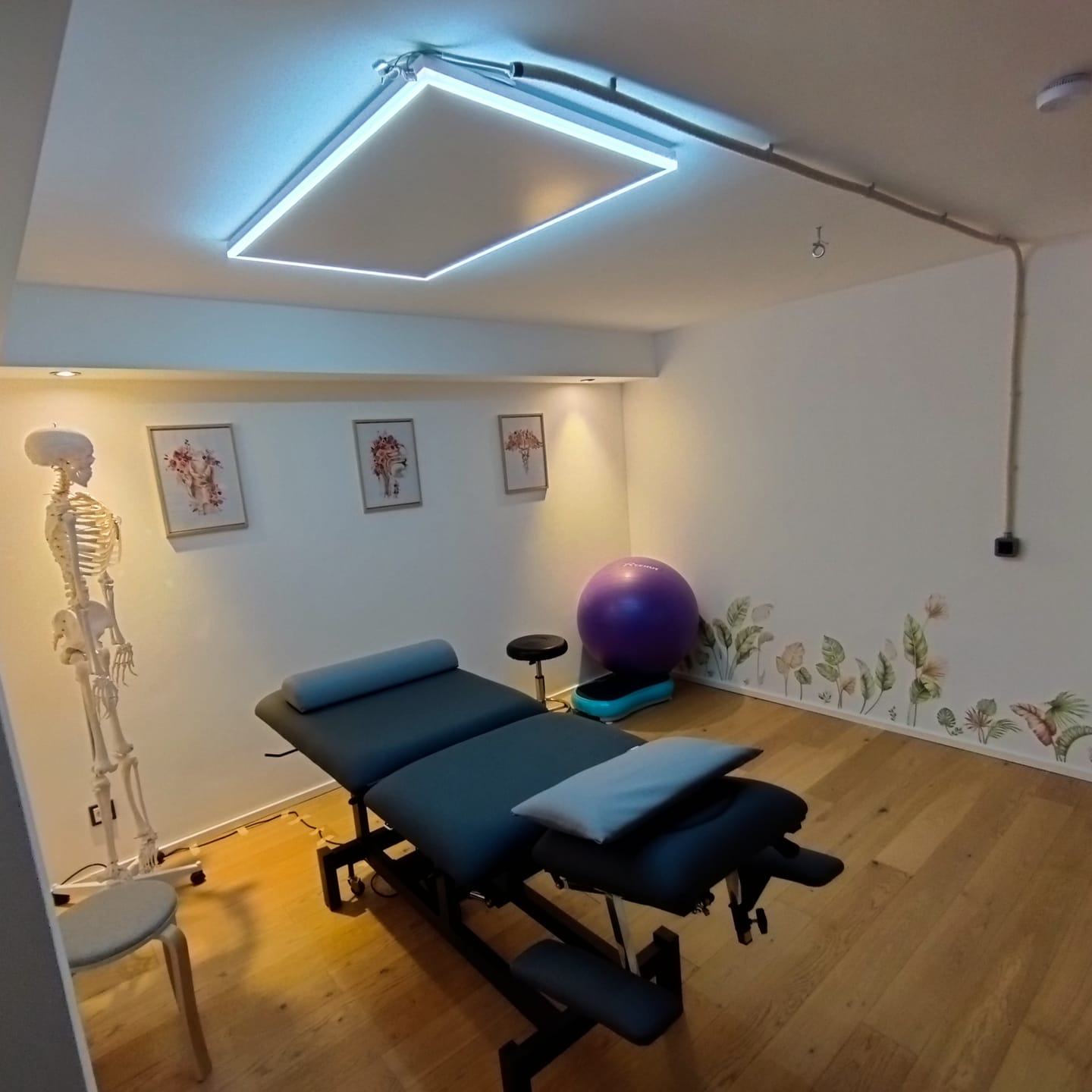Customer photo review of Massageliege Elektrisch Fortis 5 Ergo | 5-Segmente