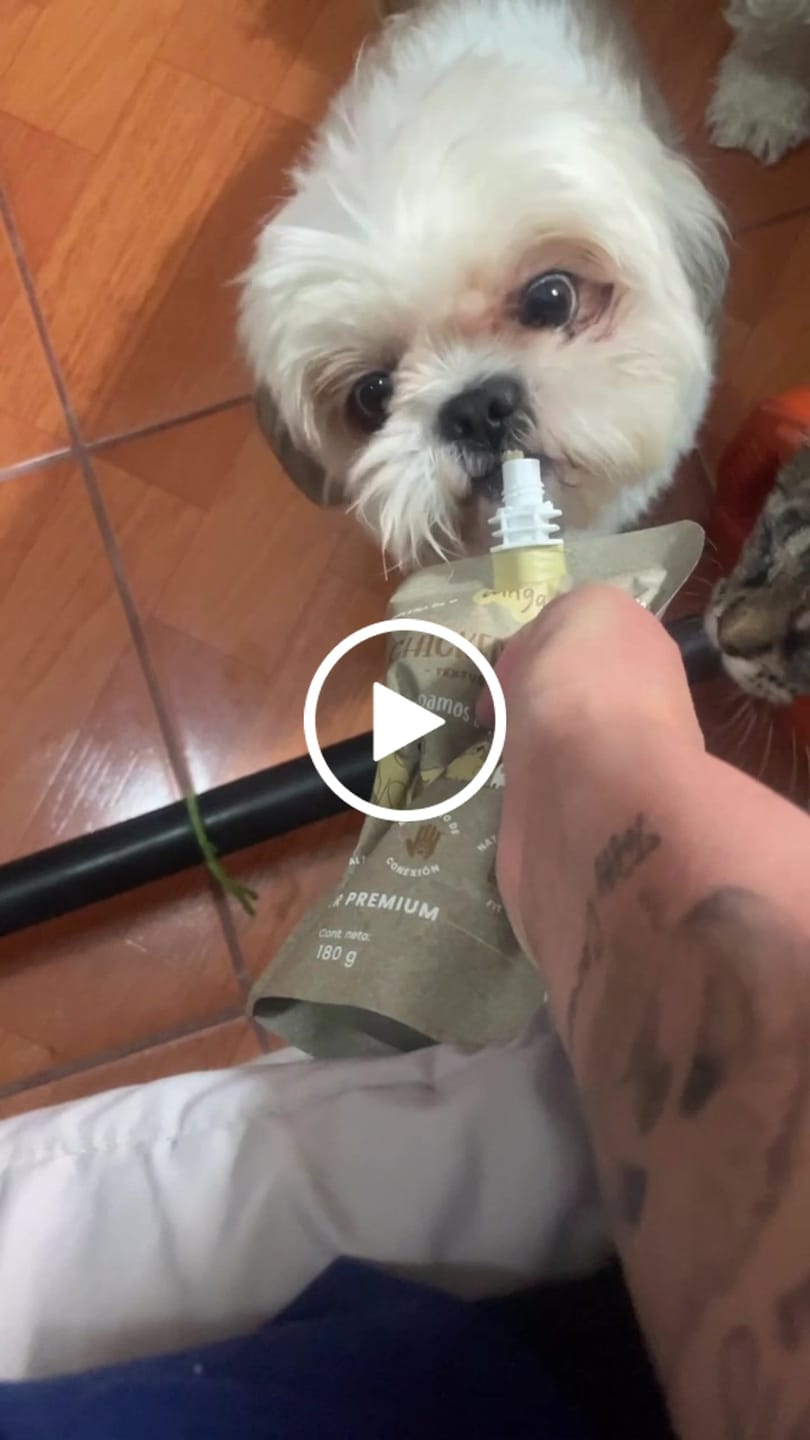 Customer video review of Chicken Fiesta Perros Pouch