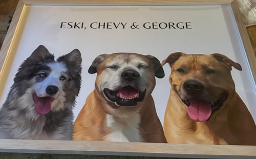 Customer photo review of Three-Pet Portrait