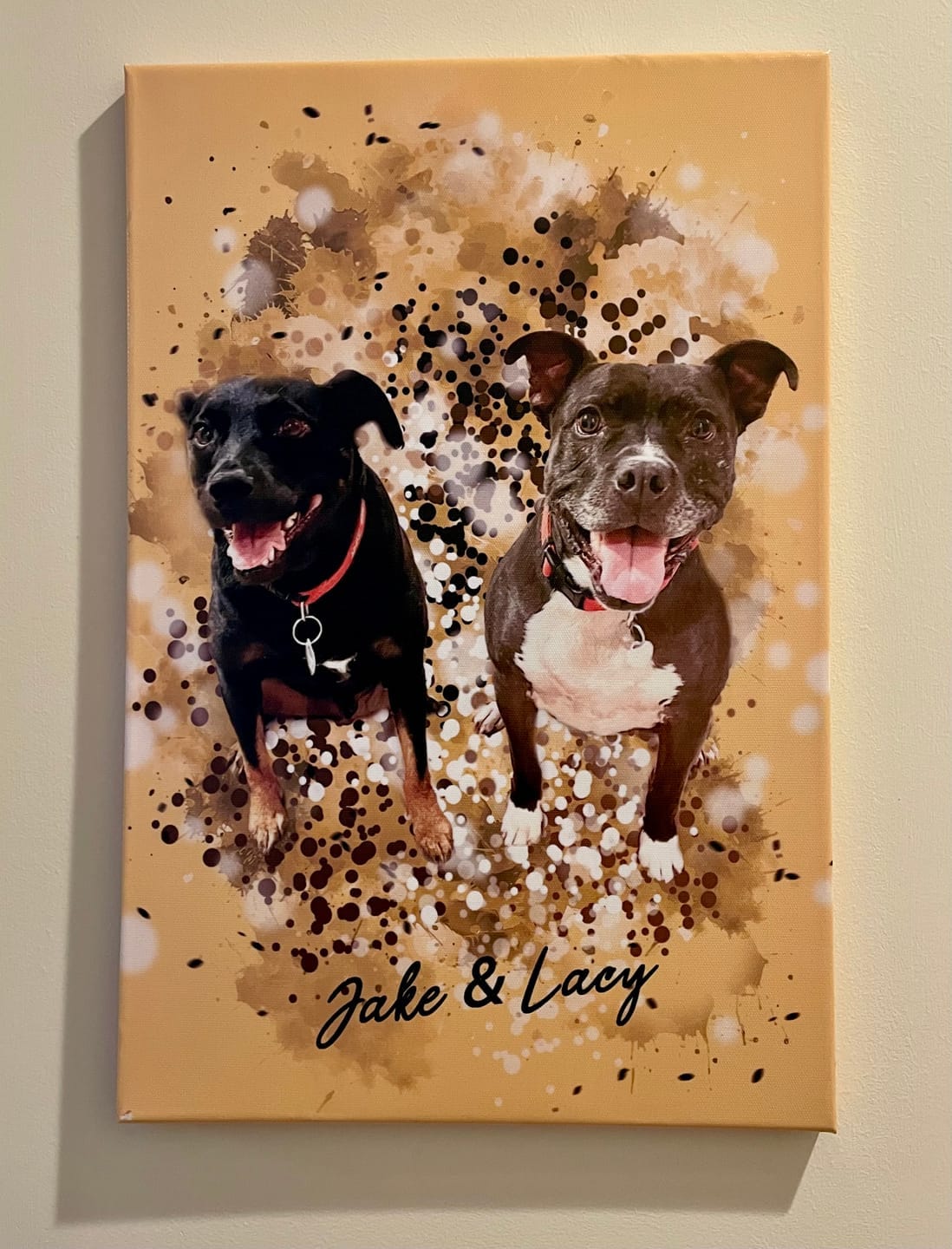 Customer photo review of Portrait Aqua Art