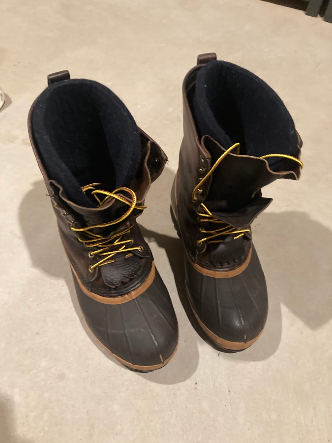 Customer photo review of Wool Felt Replacement Boot Liners (826 BB)