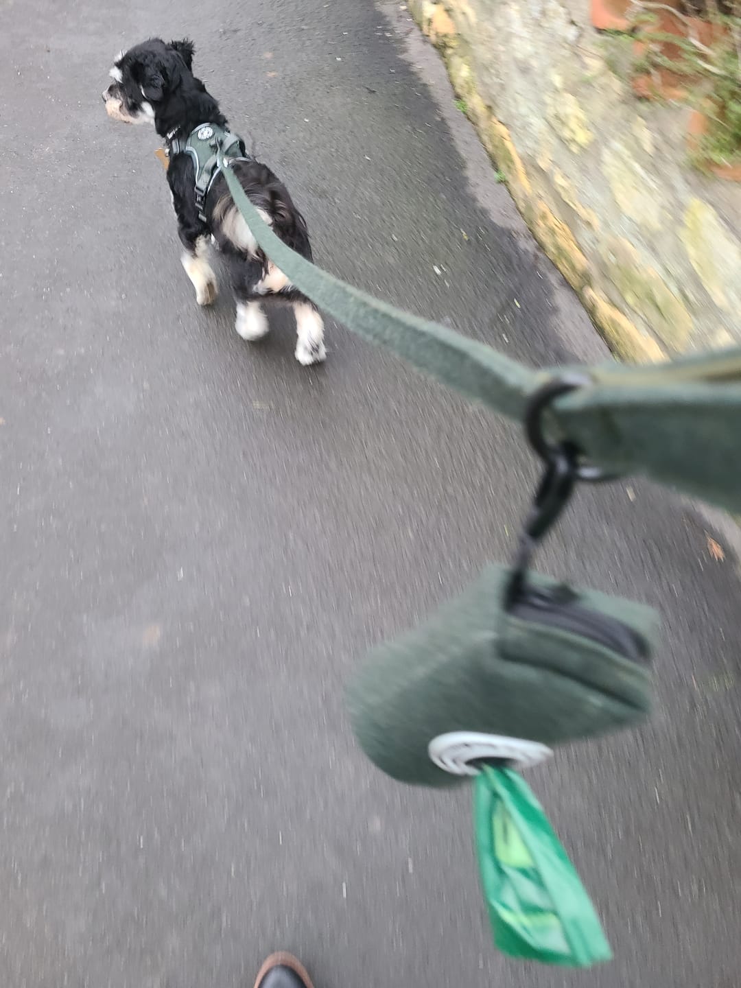 Customer photo review of Trail & Glow® Dog Harness Bundle Set - Forest Tweed