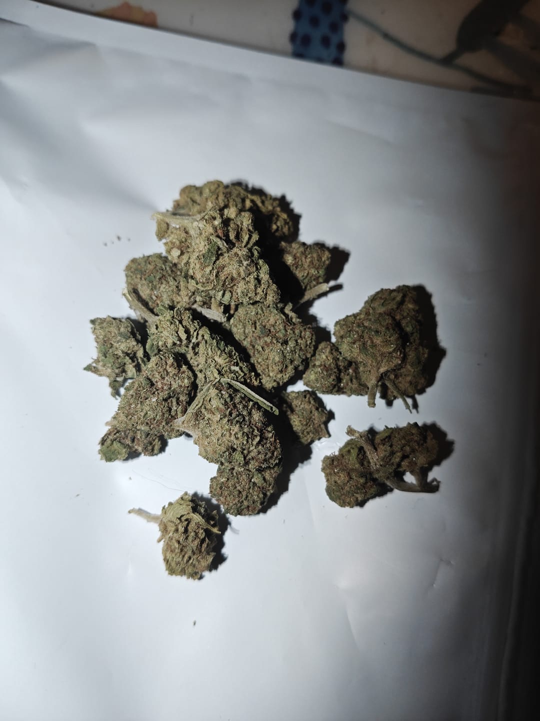 Customer photo review of Fleur 10-OH-HHC - Orange Bud 25%