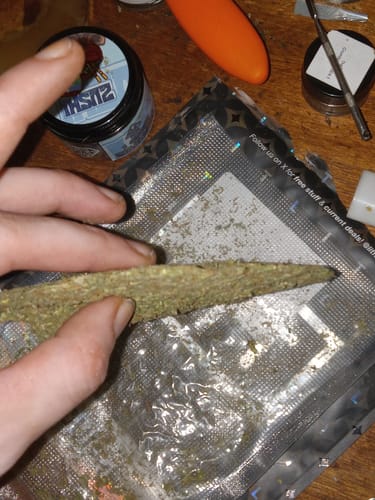 Customer photo review of Mango Haze