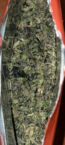 Customer photo review of Exotic Shake