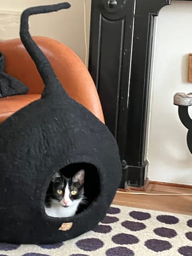Customer photo review of Premium Kattenhol met een staart