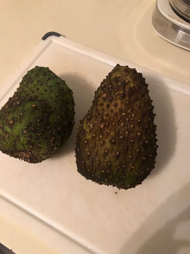 Customer photo review of Soursop